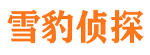 赤坎捉小三公司